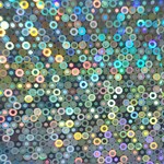 FO26 HOLOGRAFICO PLATA